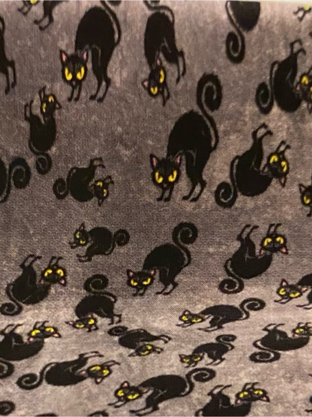 NWT Black Cat Plush Throw